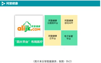 BAT如何布局移动医疗数据处理服务 战略、技术与未来展望